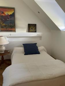 1 cama con almohada azul en una habitación en La maison Poulogne, en Capvern