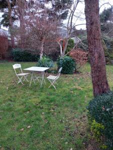 Lierneux的住宿－Le fournil，树旁的草上放着两把椅子和一张桌子