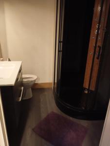 a bathroom with a black shower and a toilet at L'orée des 3 Rivières in Is-sur-Tille