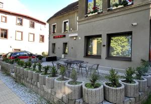 patio ze stołem, krzesłami i roślinami w obiekcie Ratuszowa Noclegi w Szczawnie Zdroju