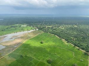 an aerial view of a green field next to a river at Wild Ele 243 Wilpattu in Achchamulai