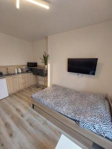 a room with a bed and a flat screen tv at Studio near Old Town in Krakow