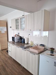 Kuchyňa alebo kuchynka v ubytovaní Várfal apartman