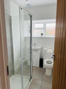 a bathroom with a toilet and a glass shower at 6 Wye Valley Chambers, Ross-on-Wye in Ross on Wye