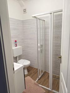a bathroom with a toilet and a glass shower at Várfal apartman in Eger