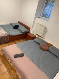 a bedroom with two beds and a window at Central and affordable room in basement in Krakow