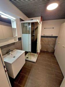 y baño con lavabo y ducha. en Appartement calme avec jardin en Conthey