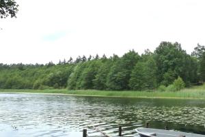 un bateau assis au milieu d'un lac dans l'établissement 8,5m Tiny-Haus am Rande des Spreewalds, à Bornsdorf