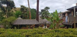 a resort with palm trees and a building at Studio location saisonnière de avril à fin octobre in Agde