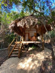 une petite cabane avec un toit de chaume dans les bois dans l'établissement EcoAraguaia Jungle Lodge, 