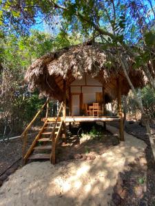 a small hut with a thatched roof in the woods at EcoAraguaia Jungle Lodge in Caseara