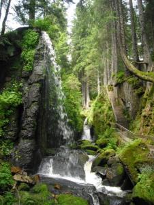 a waterfall in the middle of a forest at Ferienwohnung Herzlicht in Titisee-Neustadt
