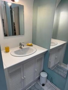 a bathroom with a sink and a mirror at Chambres d'hôtes dans une magnifique propriété in Luc-sur-Mer