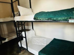 Tempat tidur susun dalam kamar di Arusha Backpackers Hotel