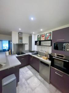 una cocina con electrodomésticos de acero inoxidable y armarios púrpuras en La Casa du Lac en Le Bourget-du-Lac