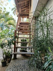 eine Holztreppe, die zu einem Gebäude mit Pflanzen führt in der Unterkunft Zhaya's Beach & Cottages in El Nido