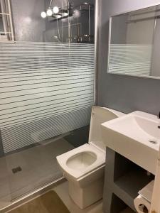 een badkamer met een toilet, een wastafel en een douche bij 4BlessingsCuracao 1B in Willemstad