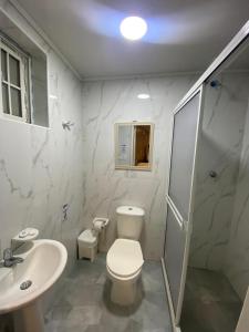 a bathroom with a toilet and a sink and a shower at Borabora hotel in San Andrés