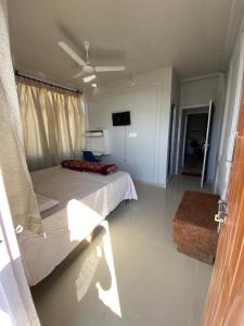a bedroom with a bed and a tv in it at Parvata Droni in Shimla
