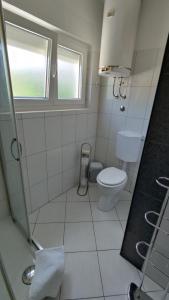a small bathroom with a toilet and a sink at Apartment Marija Selce in Selce