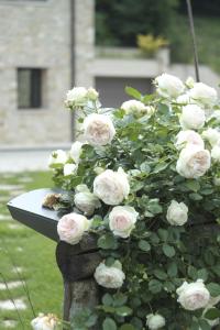 Zahrada ubytování Agriturismo CasaMela