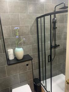 a bathroom with a shower with a vase on a shelf at Stockbridge Two Bedroom Apartment in Edinburgh