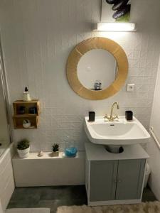 a bathroom with a sink and a mirror on the wall at T2 proche du centre ville in Toulouse