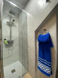 La salle de bains est pourvue d'une douche et d'une serviette bleue. dans l'établissement Casa El Capitán, à Malaga