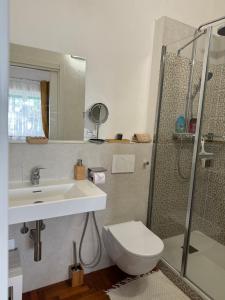 a bathroom with a sink and a toilet and a shower at VILLA TARA in Quercianella