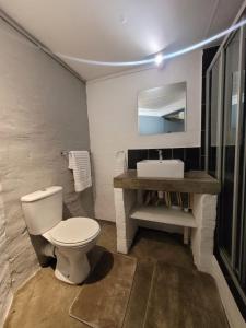 a bathroom with a toilet and a sink at Trendy apartments _ @ Craftsmanship on main in Johannesburg