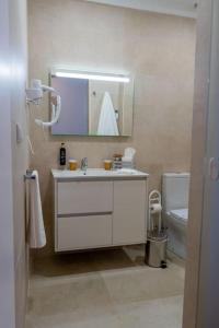 a bathroom with a sink and a toilet and a mirror at Quinta Vale Lameiros 