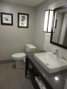 La salle de bains est pourvue d'un lavabo, de toilettes et d'un miroir. dans l'établissement Country Inn & Suites by Radisson, Gatlinburg, TN, à Gatlinburg
