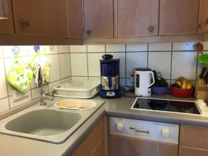 Una encimera de cocina con un fregadero y una cafetera. en Ferienwohnung Wetterfrosch, en Schausende