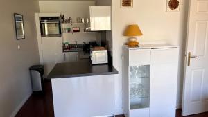 a kitchen with a counter top with a microwave at Appart -Rés du Parc-Hardelot-plage in Hardelot-Plage