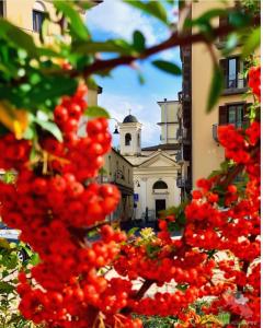 un albero con bacche rosse di fronte a un edificio di Spazio Relax B&B 