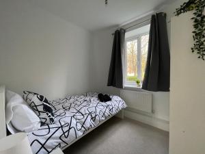 um quarto com uma cama com um gato sentado nela em Spacious 2BR Apartment w/Parking Near City Centre em Sheffield