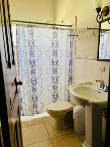 a bathroom with a sink and a toilet and a shower at Casa Primavera SPS in San Pedro Sula