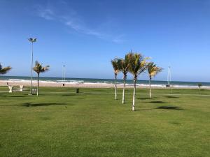 un grupo de palmeras en un parque cerca de la playa en Heritage Hostel Muscat, en Mascate