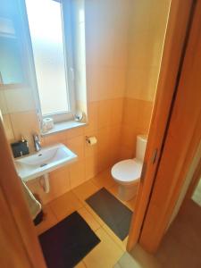 łazienka z toaletą, umywalką i oknem w obiekcie Kuća za odmor La Vi w mieście Mrkopalj