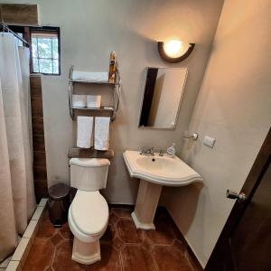 a bathroom with a toilet and a sink at Magnificent Private Room Near Airport #1 in Comayagua