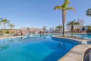 a large swimming pool with a palm tree and a bridge at Las Terrazas de Santa Clara in Marbella