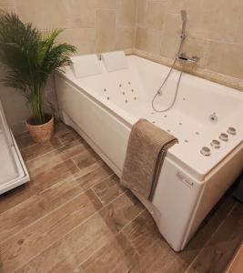 a bath tub in a bathroom with a plant at Studio SPA Le Petit Clos in Chelles
