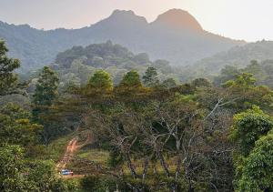 a view of a forest with mountains in the background at Jungle Woods 900kandi in Wayanad