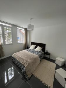 1 dormitorio con 1 cama y 2 ventanas en Élégance Alpine à Morbier, en Morbier