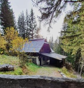 eine kleine Hütte im Wald mit Bäumen in der Unterkunft Chalet Hüttentraum by Globalimmoservice in Bad Kleinkirchheim