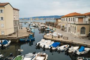 un groupe de bateaux amarrés dans un port de plaisance comportant des bâtiments dans l'établissement Le Finestre Apartments Muggia, à Muggia