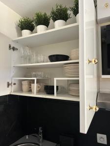 a kitchen shelf with dishes and plants on it at Appartement Résidence Santa Barbara avec Piscine et à 750m de la Plage in Cavalaire-sur-Mer