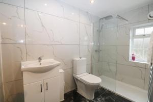 a bathroom with a toilet and a sink and a shower at 2A Kent Cottages in Reading