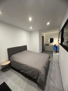 a bedroom with a bed and a television in it at chambre au calme in Saint-Jean-dʼArvey