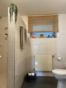 a bathroom with a toilet and a window at Privatwohnung mit Terrasse zum Relaxen in Lennestadt